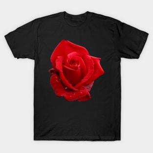 In the Heart of a Red Rose T-Shirt